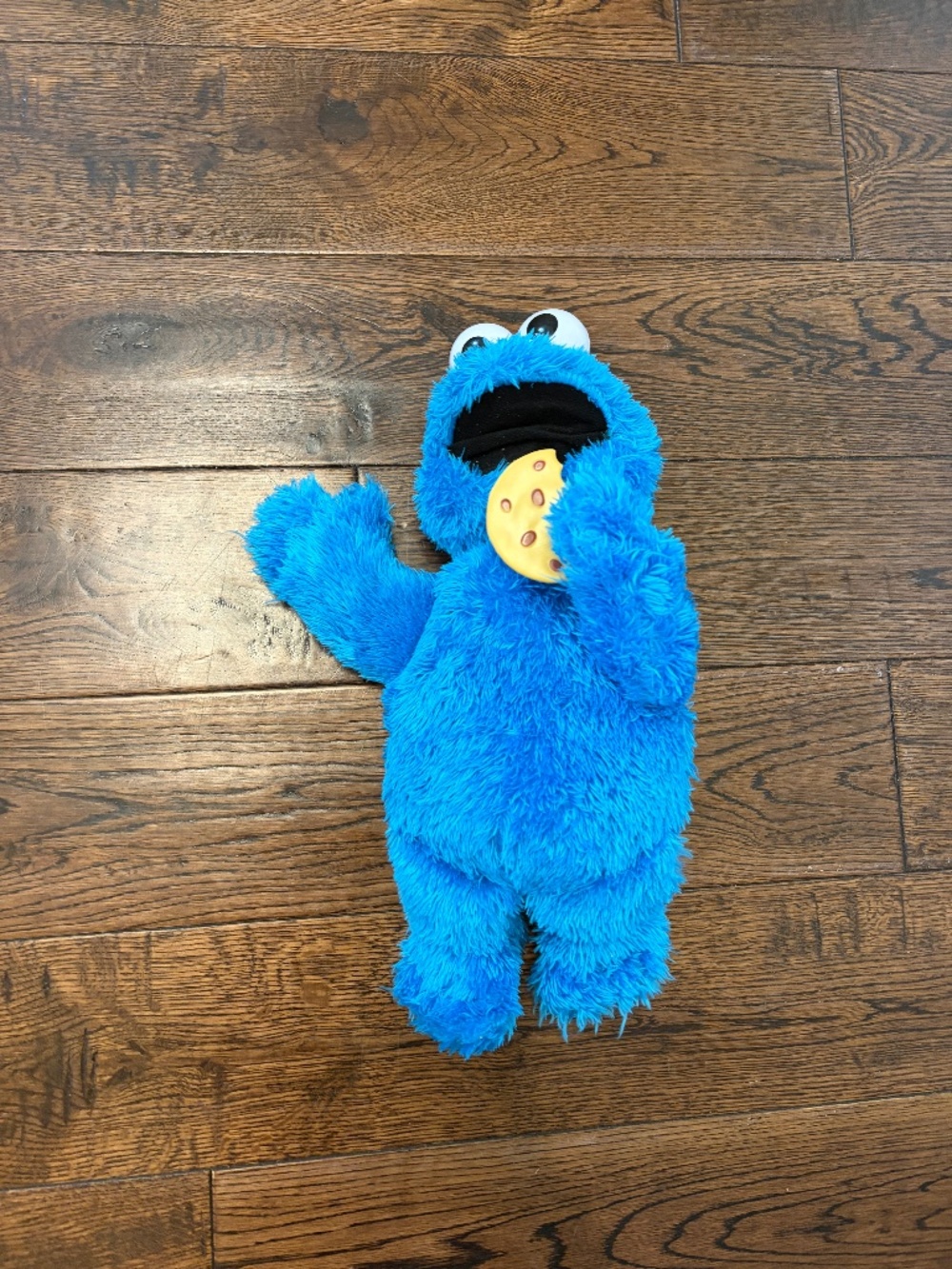 Sesame Street Feed Me Cookie Monster Talking Vibrating Plush E1961